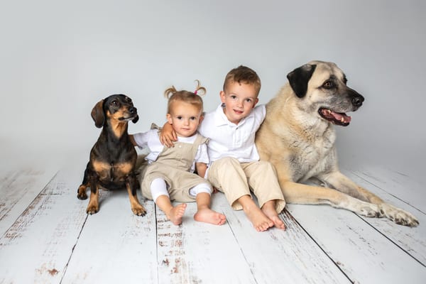 Zwei kleine Geschwister sitzen auf hellem Holzboden zwischen einem Dackel und einem großen Hund
